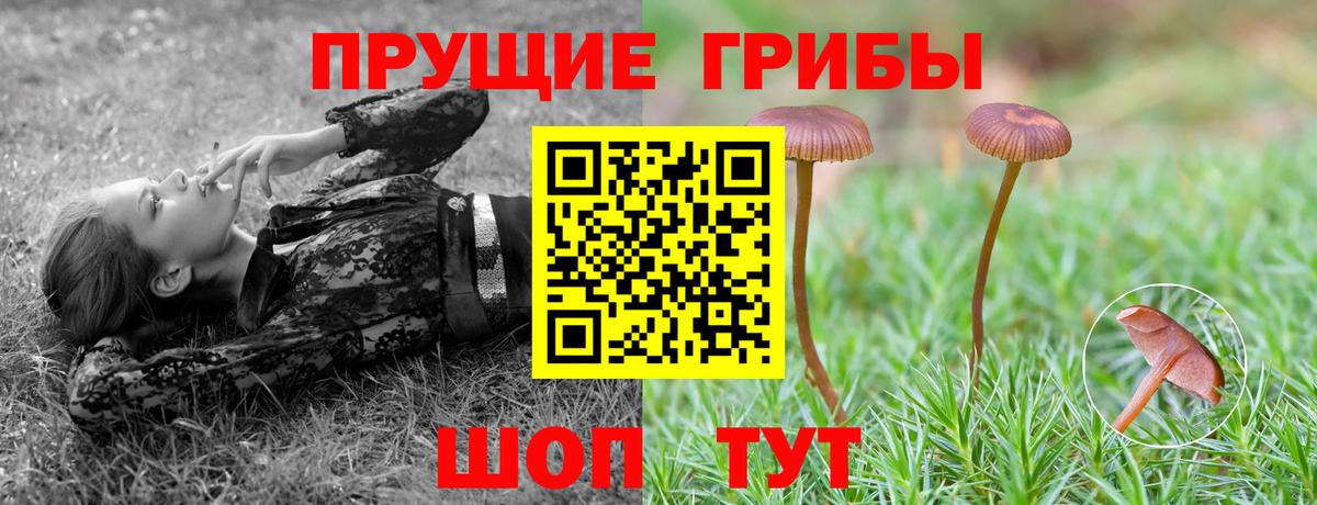 Улан-Удэ  Галлюциногенные грибы прущие грибы  Вход с VPN 